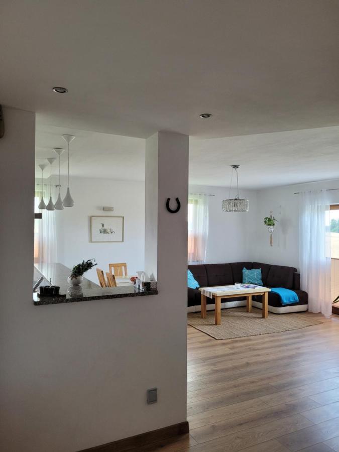 Ferienhaus Kaszuby Villagehome Borzytuchom