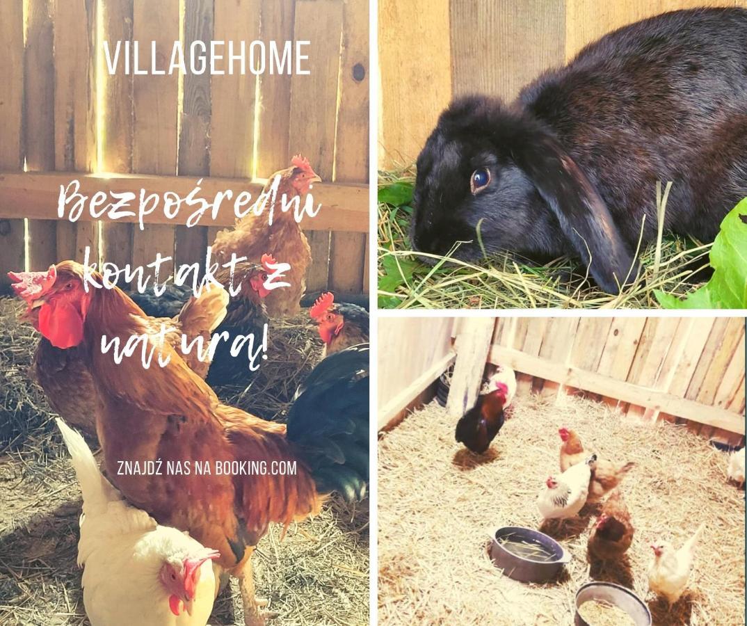 Ferienhaus Kaszuby Villagehome
