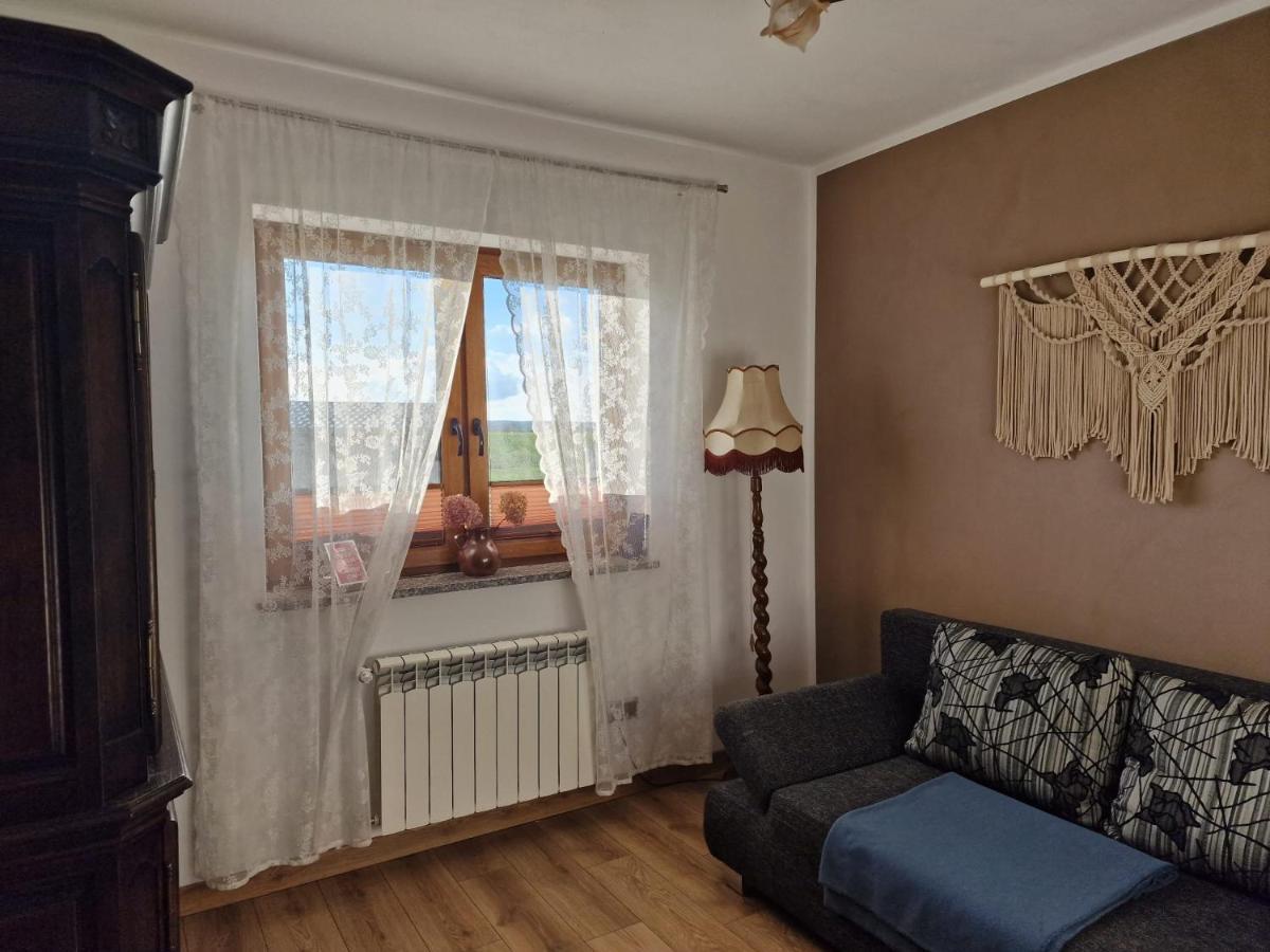 Kaszuby Villagehome * Borzytuchom