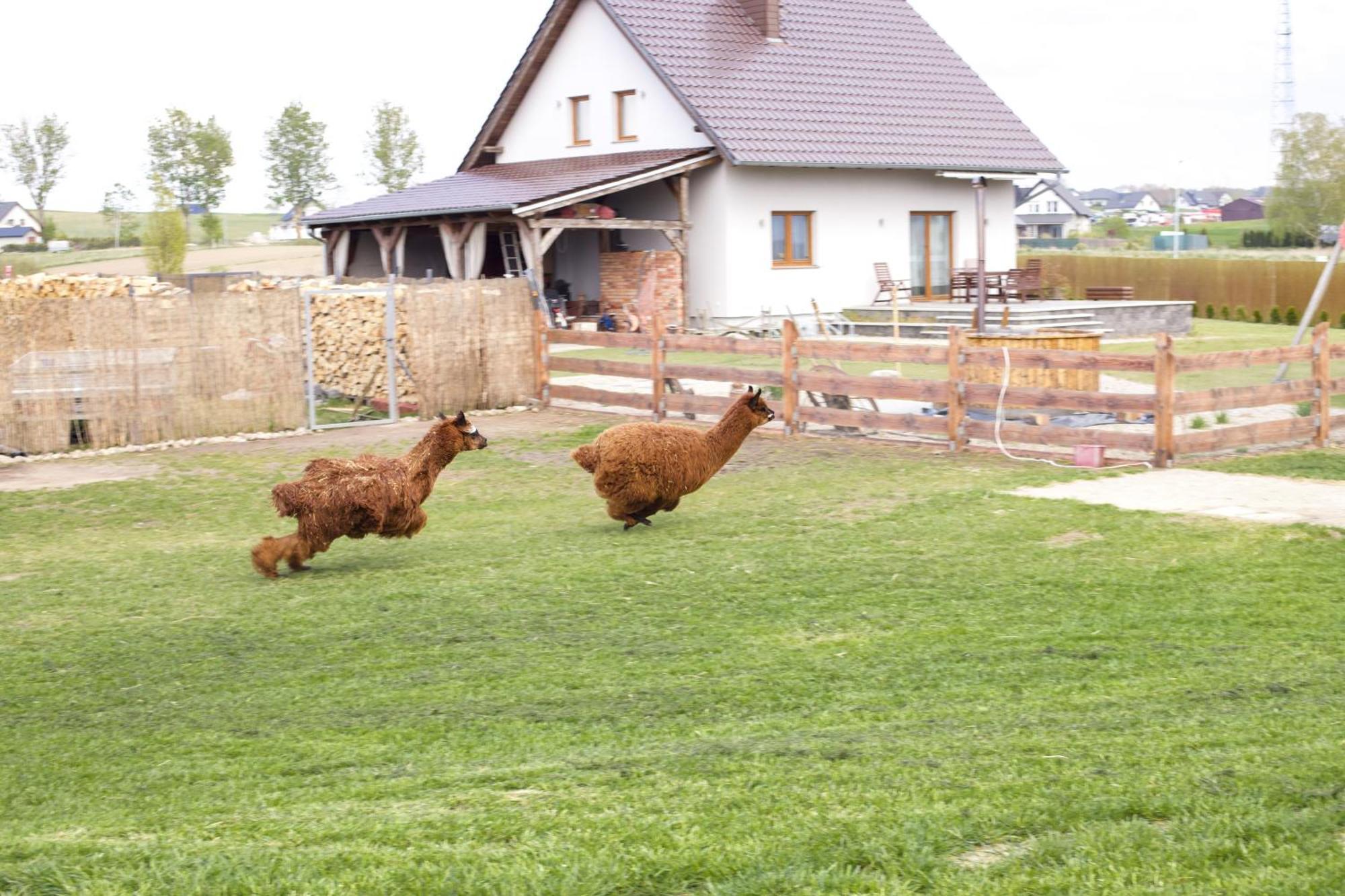 Kaszuby Villagehome Borzytuchom